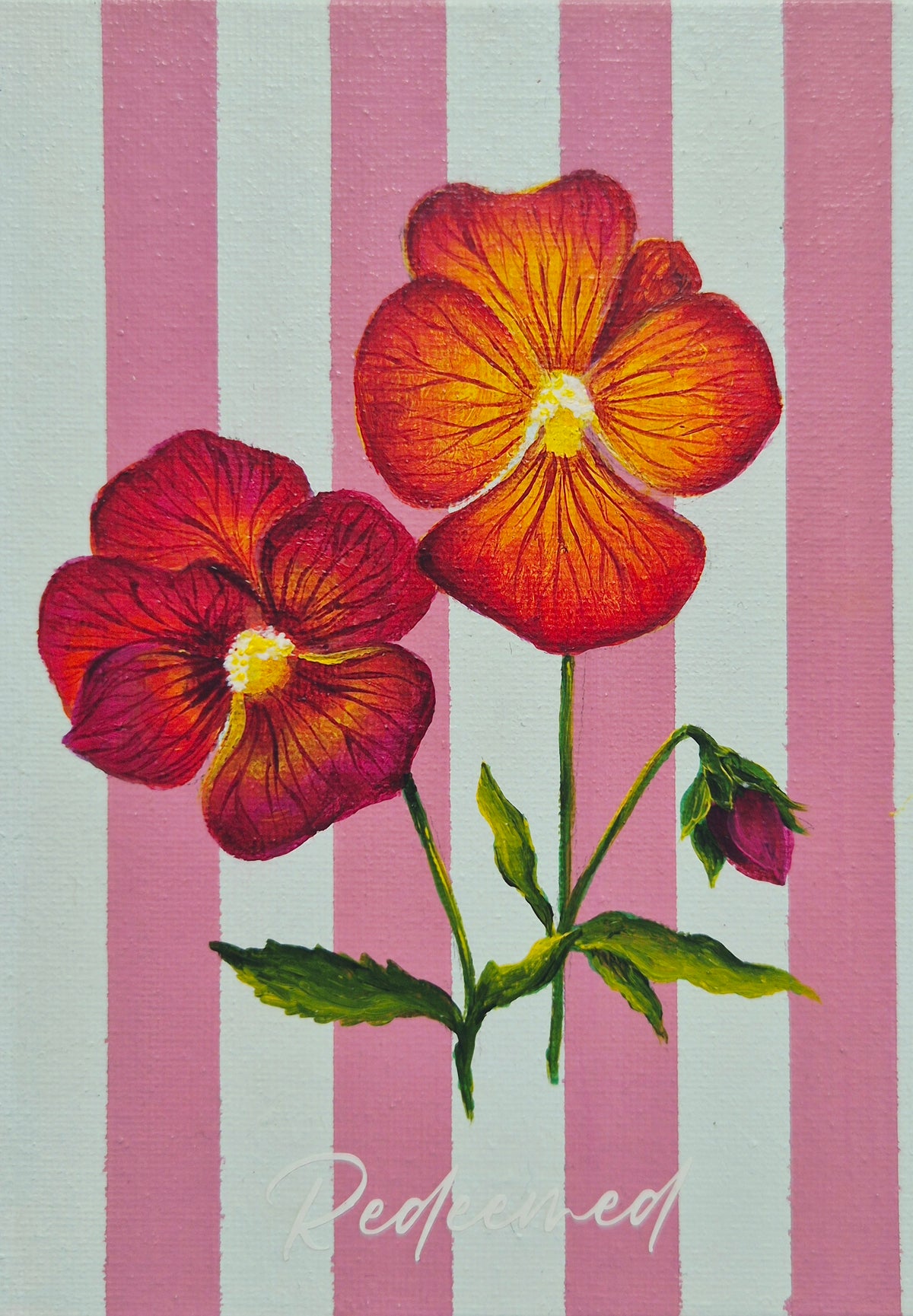 Words of encouragement Collection - Redeemed - Pansies