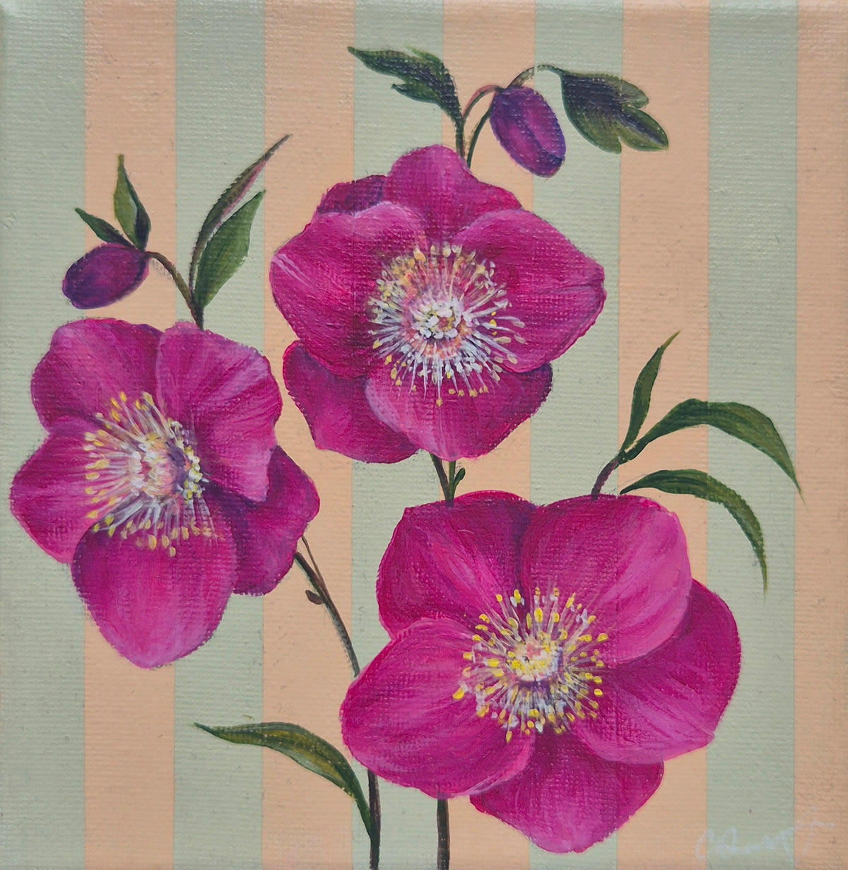Flowers of the Bible collection - Hellebores on pastel green and peach stripes