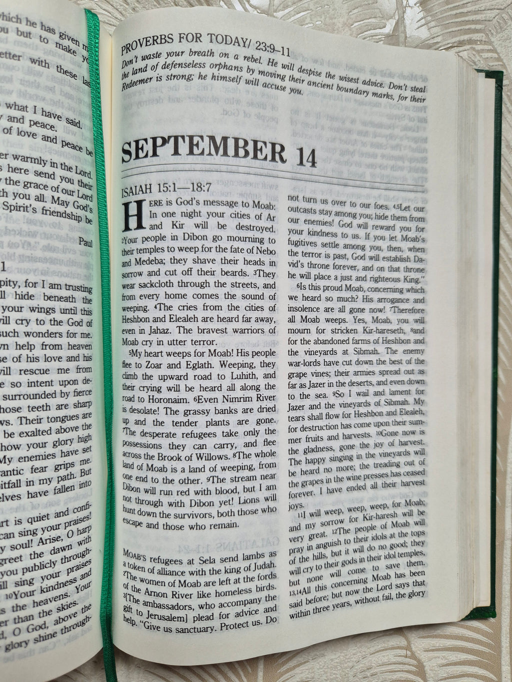 Handpainted Bible in One year - cream and gold floral design