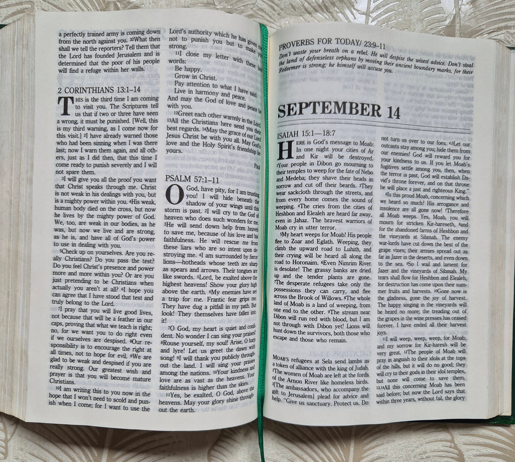 Handpainted Bible in One year - cream and gold floral design